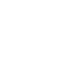 Car Brand logo-28